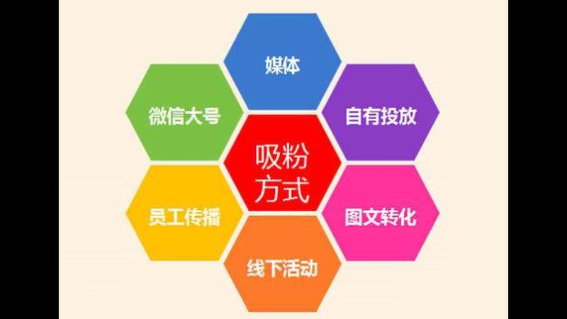 搜索推广：精准定位，转化效果显著